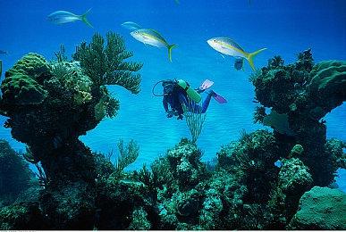 《堡垒之夜》第三章已迁移至虚幻5引擎 游戏画面性能更优异